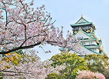 kaiyun网站-居家训练神器到位 休赛期移动篮架成为抢手货